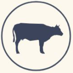 Bulls & HEIFERS